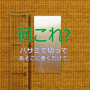 P1070564ad